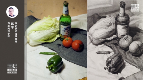 素描静物_蔬菜类_啤酒瓶、大白菜、青椒、西红柿_陈平