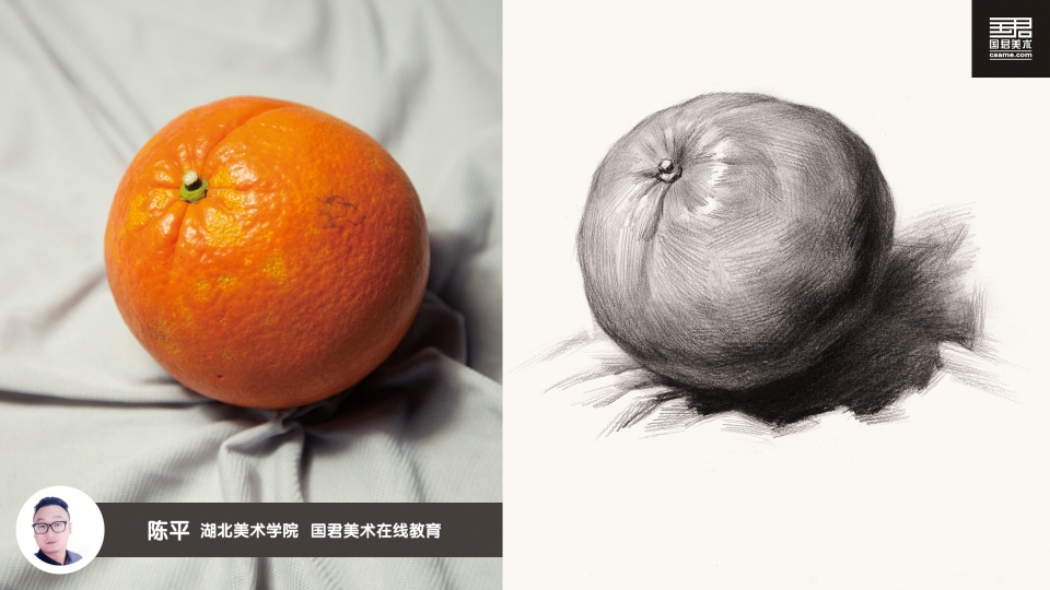 剥开的橘子精微素描图片