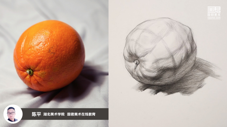 剥开的橘子精微素描图片